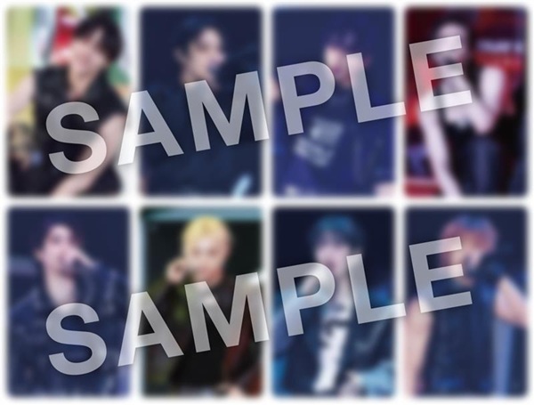 Stray Kids Fan Connecting 2024 