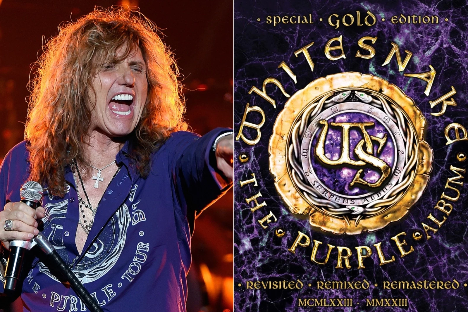 attachment-whitesnake-purple-