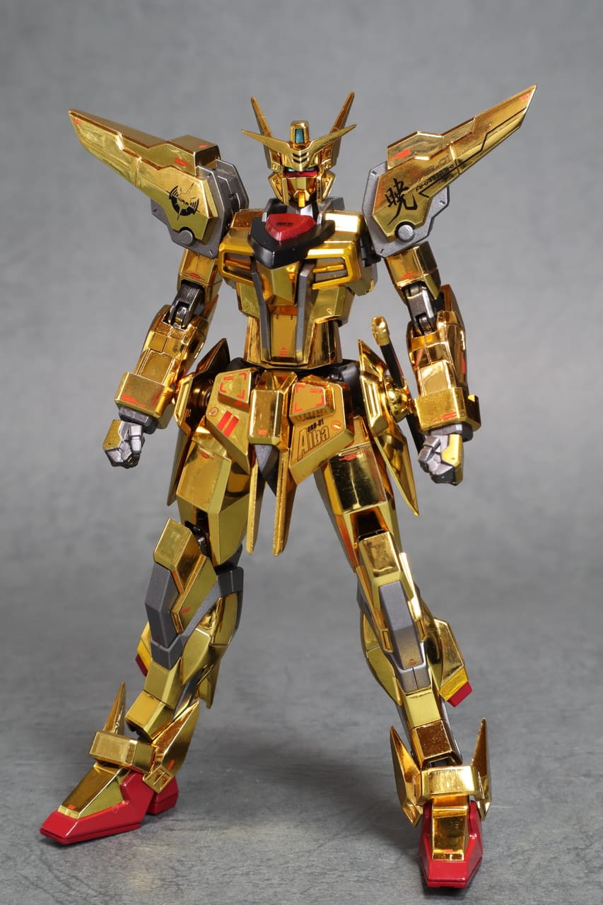 METAL ROBOT魂 アカツキガンダム（オオワシ装備） レビュー | TOYHOUND