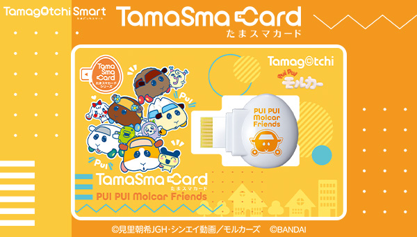 74_2457_o_1g45n75t4fkrmu5qqmic