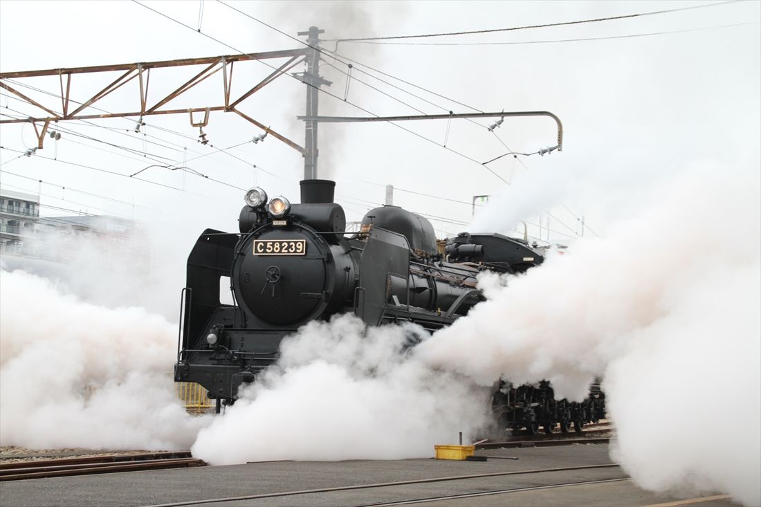 希少 大きい絵画 蒸気機関車 C56 油絵 絵画 中之間 希少 蒸気機関車