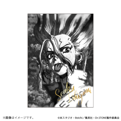 Dr.STONE 石神千空ブロマイド＋アクリルフォトフレーム Dr