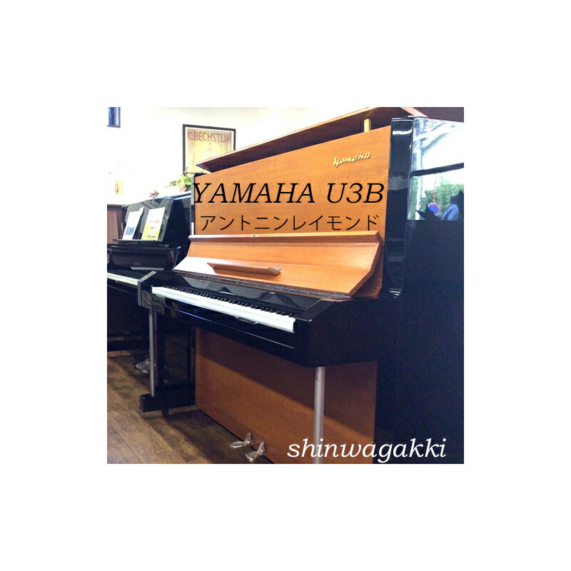 楽天市場】YAMAHAヤマハU3B【カラー：ウォルナット/黒】【木目艶消