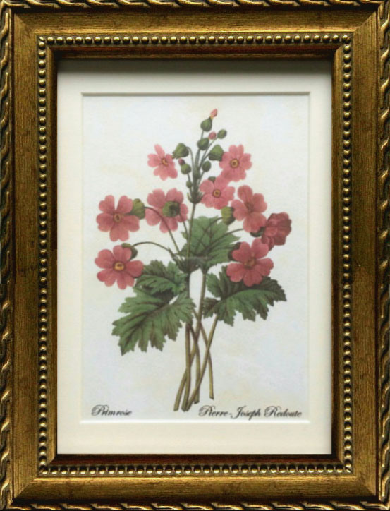 楽天市場】Pealimo インテリア 絵画 植物 ピエール ジョゼフ