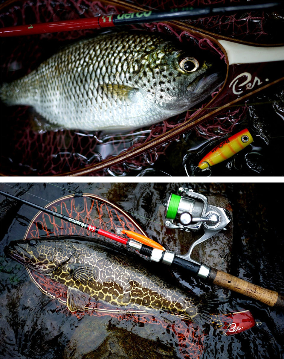 楽天市場】Huerco フエルコ フィッシングロッド XT 511-5S スピニング