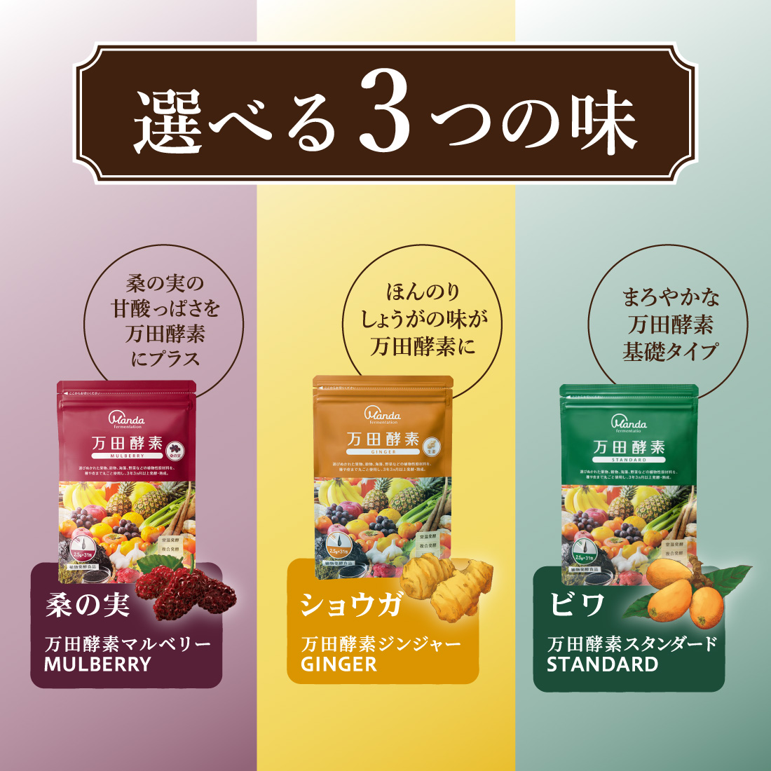 楽天市場】【公式】 大人気商品3点セット（万田酵素GINGERペースト分包