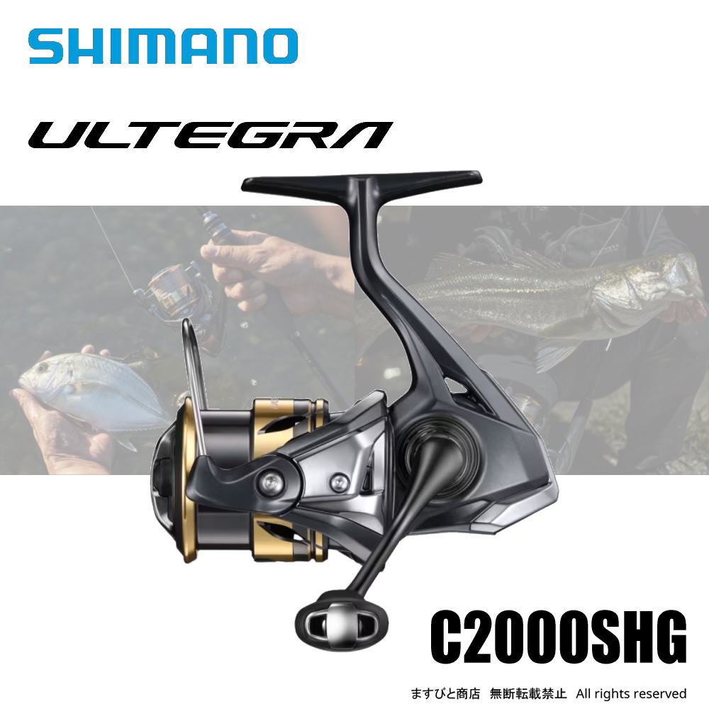 25アルテグラ 2000」の人気商品一覧 | 安い商品を通販サイトから探す