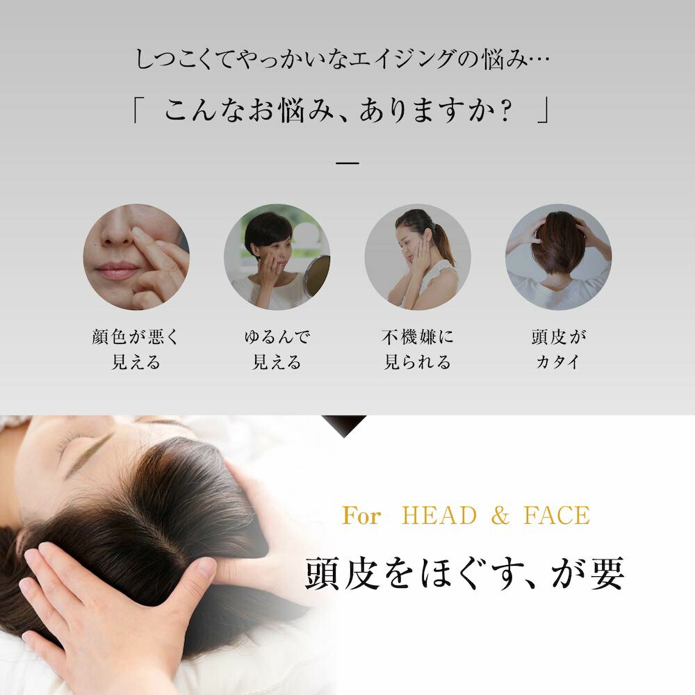 楽天市場】【正規販売店】 WAVEWAVE スカルプ ブラシ Pro EMS 電気