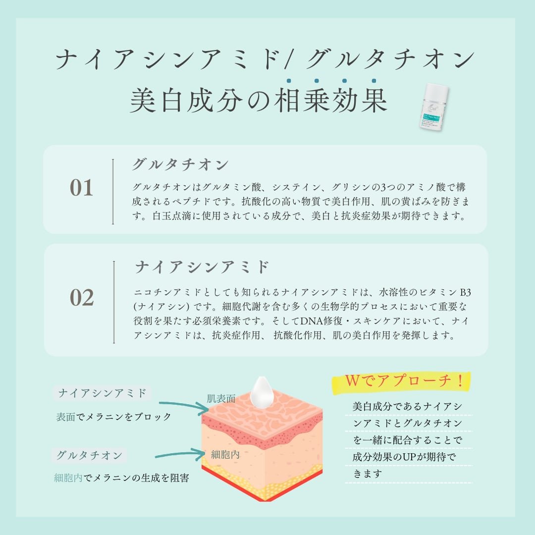 楽天市場】【正規品販売店】【リニューアル】DM CELL B.T.X.フィト