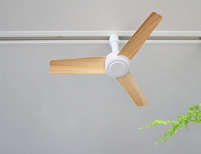 楽天市場】ダクトレール専用 シーリングファン DUCTRAILFAN DC basic