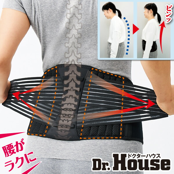 楽天市場】Dr.House ボーン＆3Dプレート腰サポーター＜Mサイズ Lサイズ