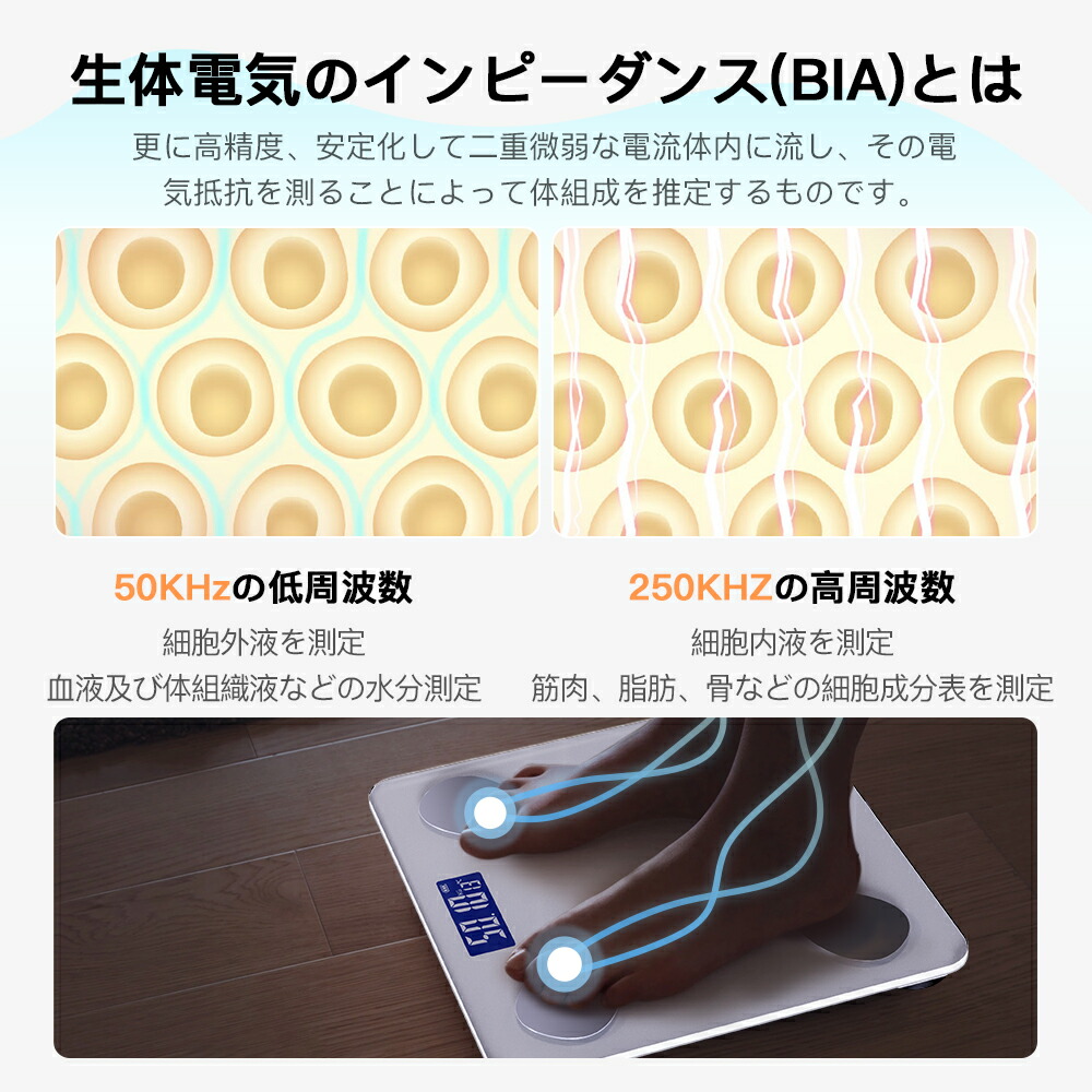 楽天市場】☆SS先着限定クーポンで1890円☆体重計 体組成計 体脂肪計