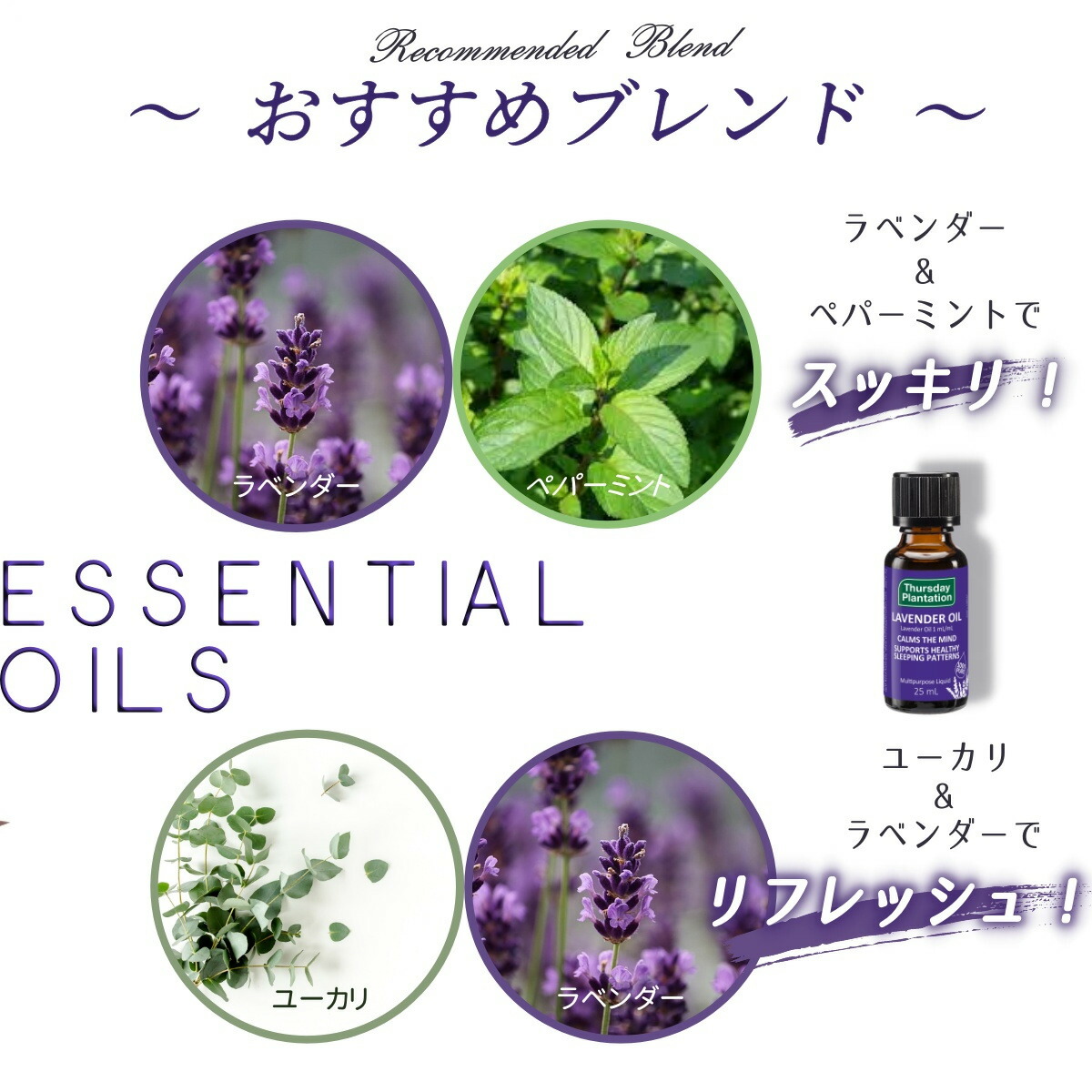 楽天市場】100%ピュア ラベンダーオイル 25ml Thursday Plantation