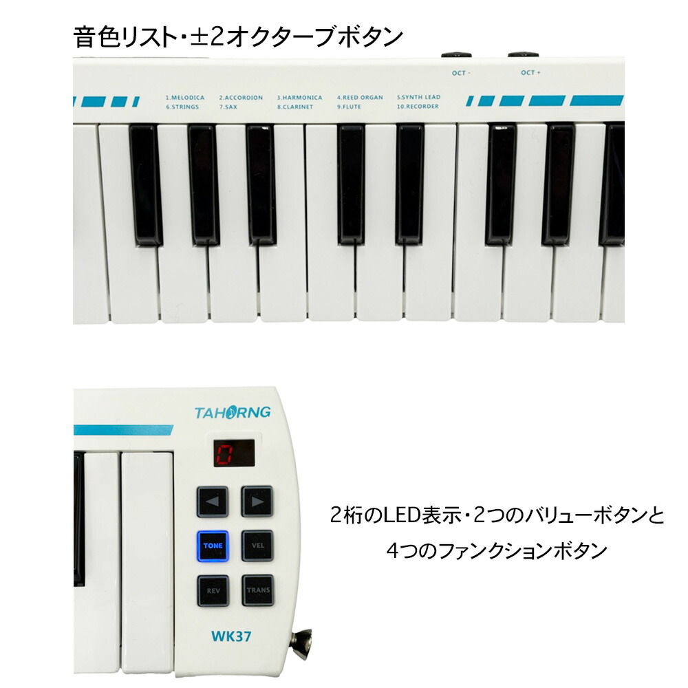 楽天市場】《12/19発売》 TAHORNG WINDKEY ウィンキー WK37 電子鍵盤