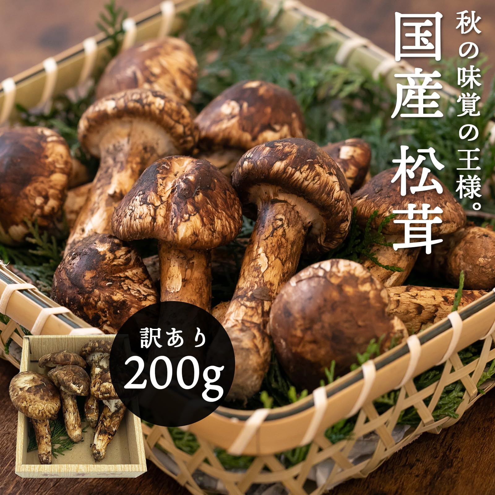 楽天市場】国産 松茸 訳あり 家庭用 100g 200g 300g 400g 500g 1kg