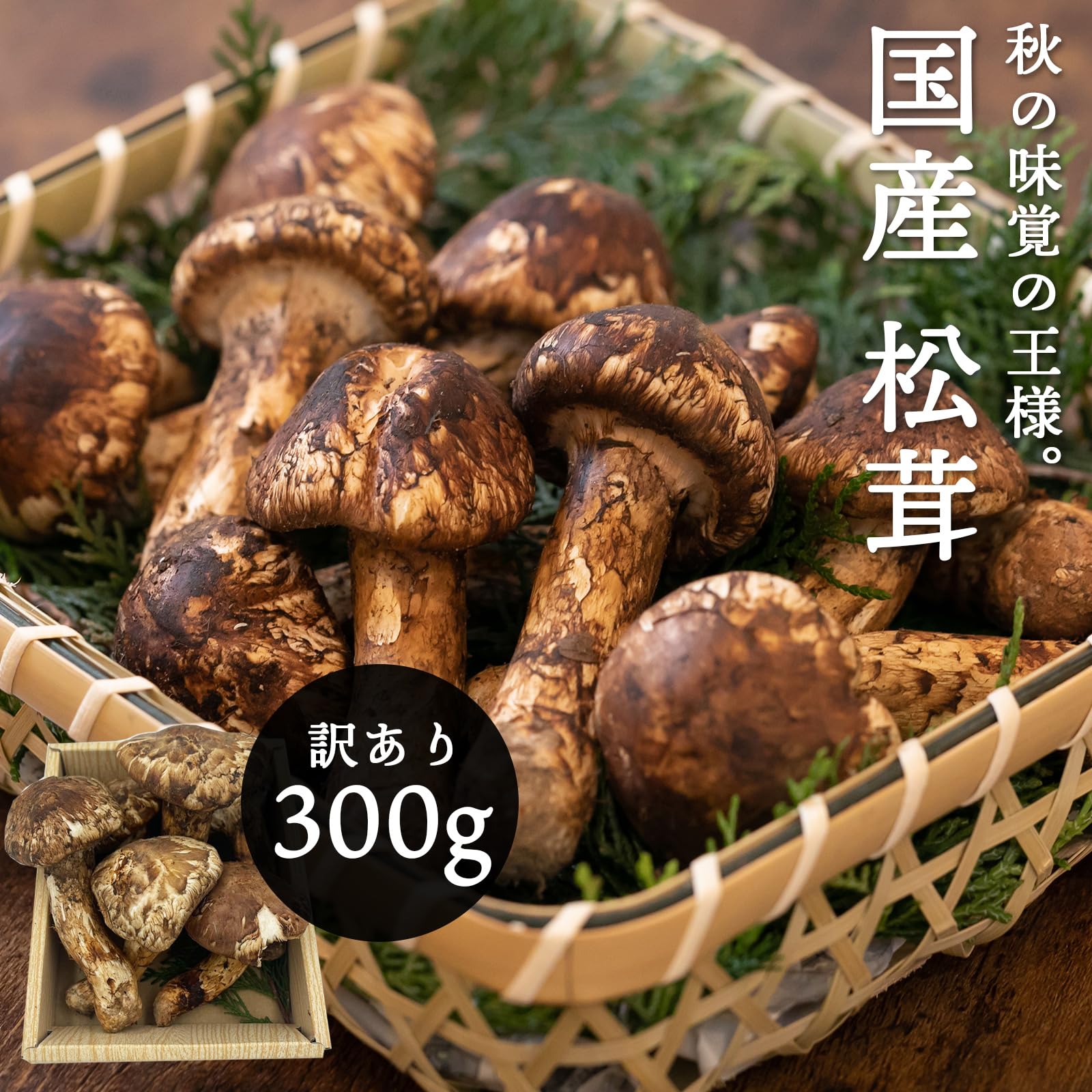 楽天市場】国産 松茸 訳あり 家庭用 100g 200g 300g 400g 500g 1kg