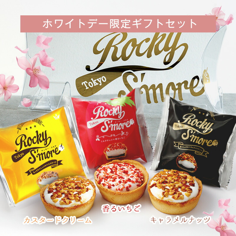 楽天市場】チョコマシュマロ ロッキースモア 3個入 冷やしロッキー