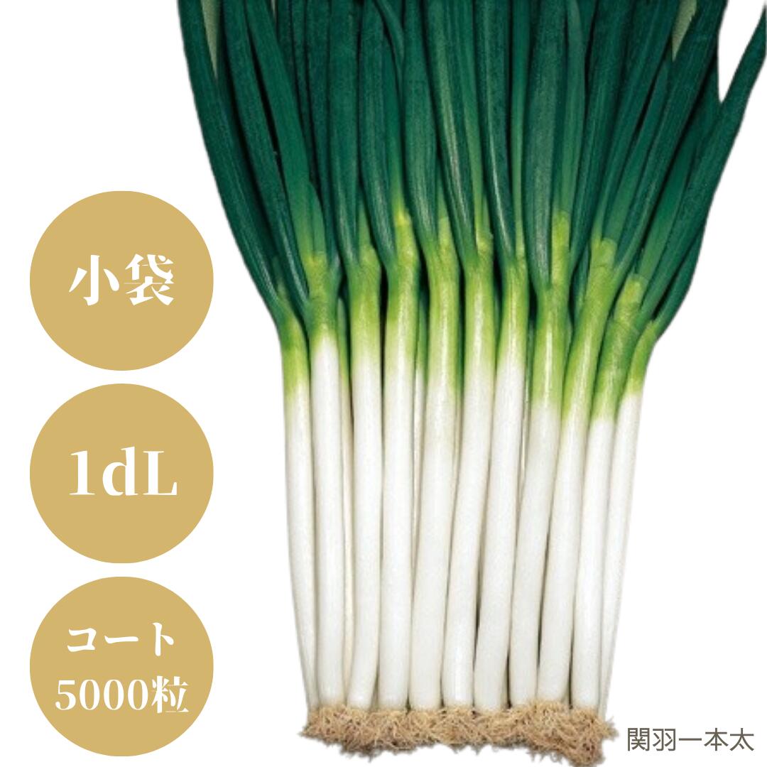 今期物 ネギ種 関羽一本太 ペレット5000粒 ×2袋セット② 今期物 ネギ種