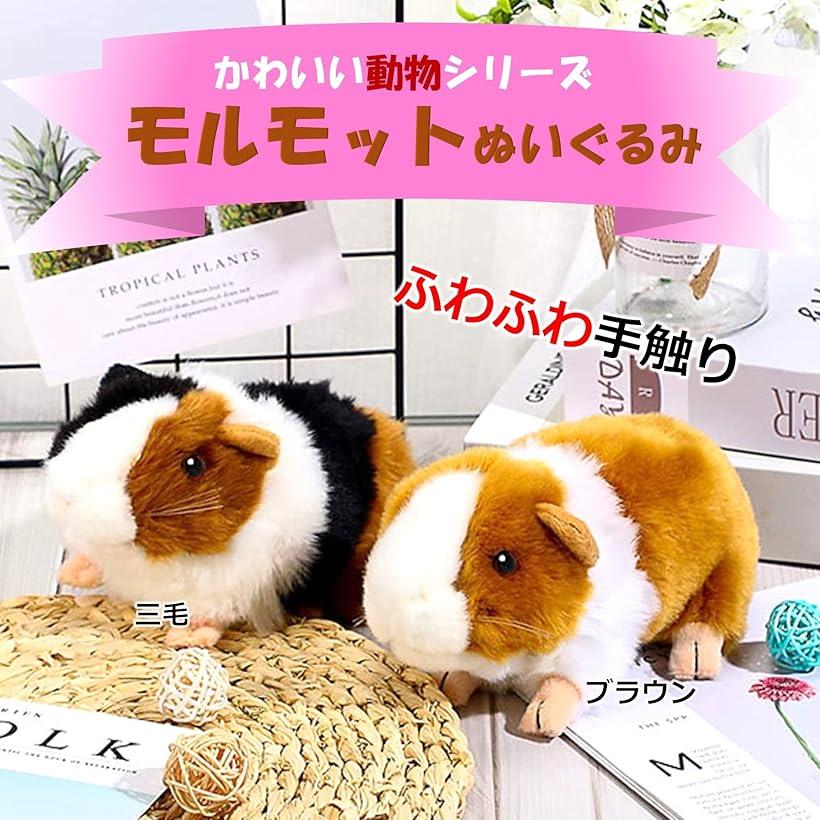 楽天市場】動物シリーズ モルモット ぬいぐるみ プレゼント 小動物