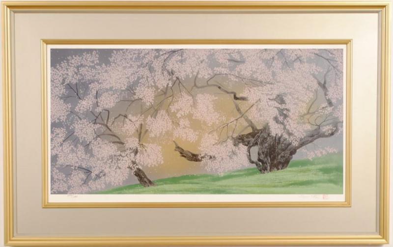 楽天市場】中島千波 臥龍桜爛漫 桜 絵画 臥龍桜 和風 岐阜県高山市