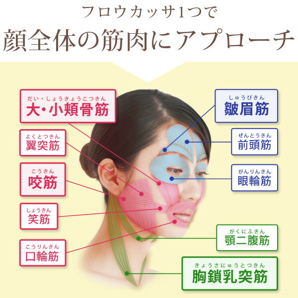 楽天市場】EMS 進化系かっさ 美顔器 フロウカッサ FLOW KASSA かっさ