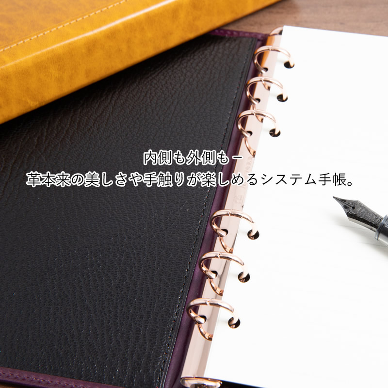 楽天市場】アシュフォード システム手帳 ルガードスクエアバック