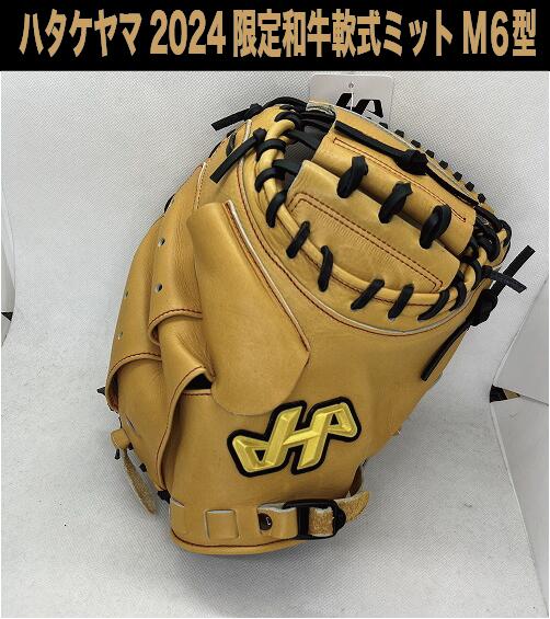 楽天市場】ハタケヤマ キャッチャーミット 軟式 最高級の通販
