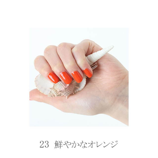 楽天市場】水性ネイル shellscoat(シェルズコート) 23 サンセット 6ml