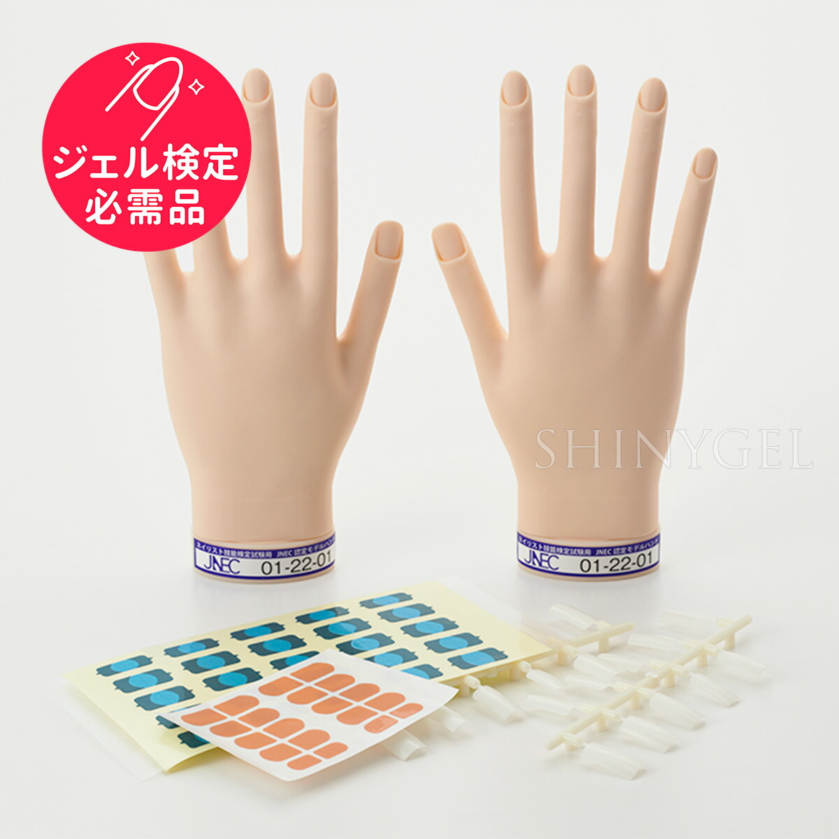 楽天市場】【取り寄せ】STモデルハンド セット（JNEC認定モデルハンド