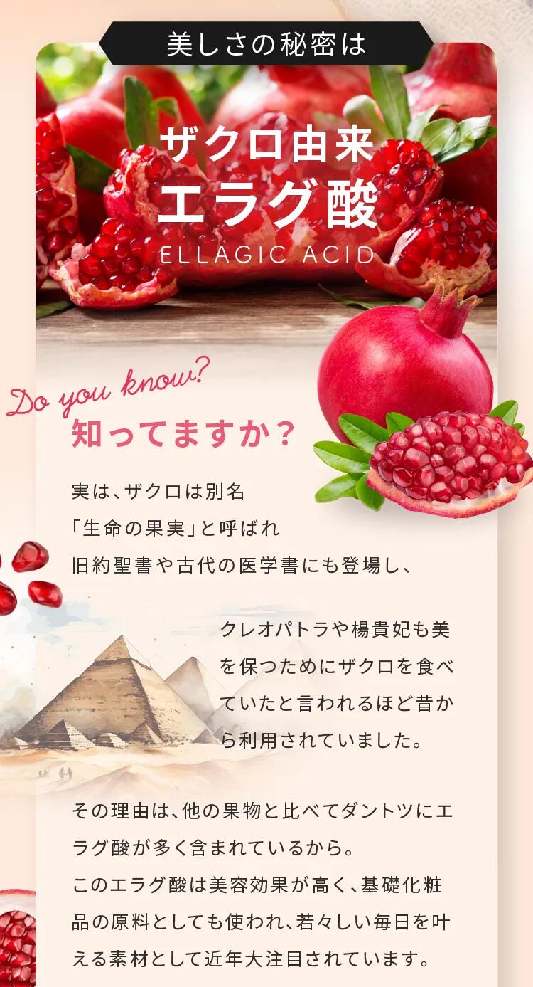 楽天市場】【送料無料】【公式】サプリ hararich ハラリッチ 置き換え