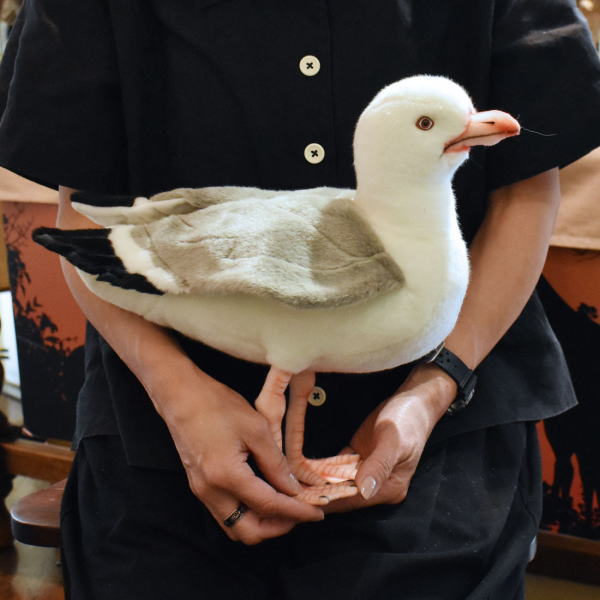 楽天市場】ハンサ【HANSA】リアルぬいぐるみ カモメ12 かもめ