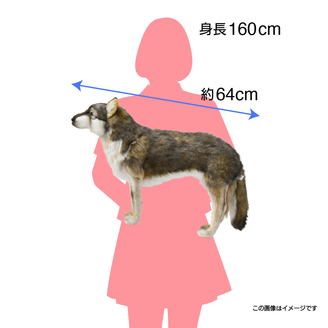 楽天市場】ハンサ【HANSA】リアルぬいぐるみ オオカミ60 : ナチュラル