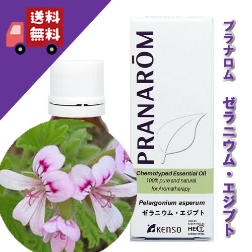 楽天市場】【ゼラニウム・エジプト 10ml】→甘くバラに似た香りの中に