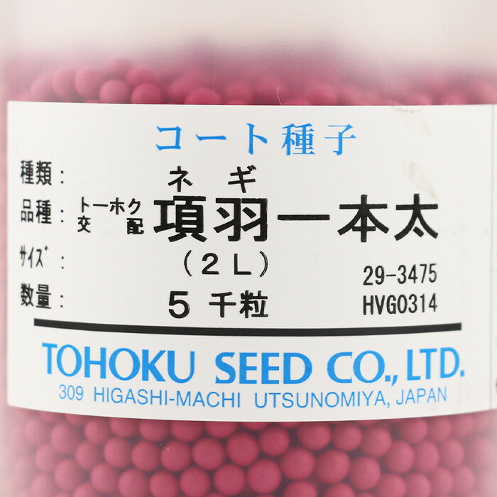楽天市場】項羽一本太(THN160)【トーホク種苗】 コート5000粒【ネギ
