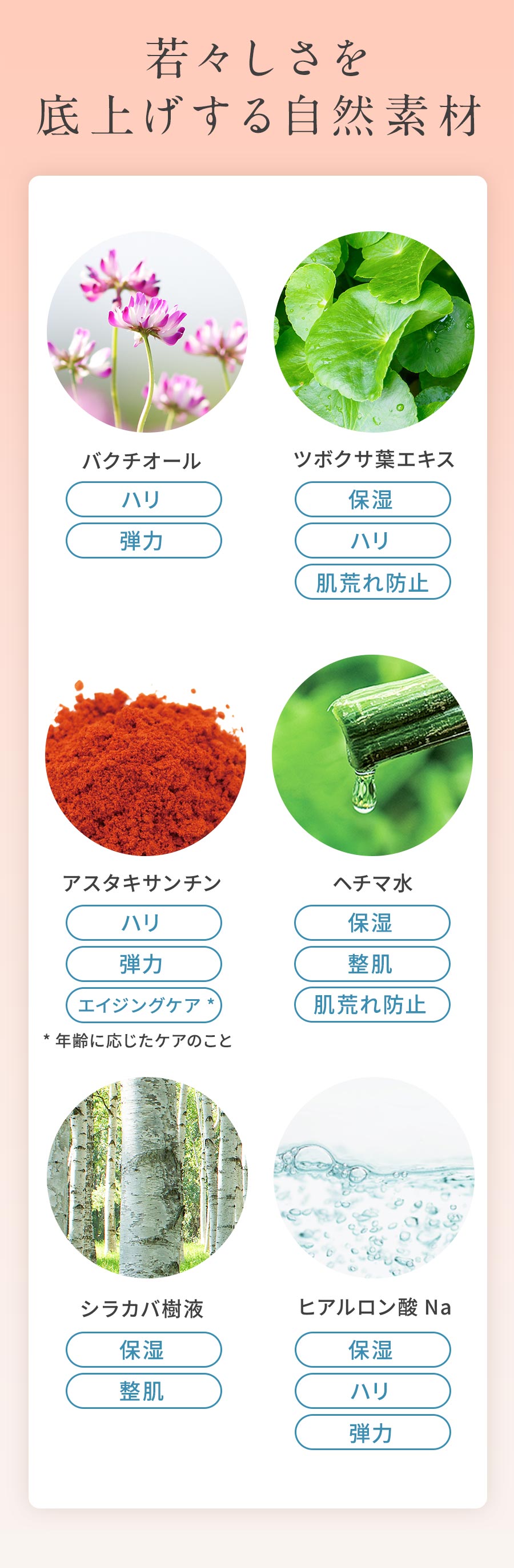 楽天市場】☆送料無料・初回返金保証☆[オーガニック 美容液]Natures