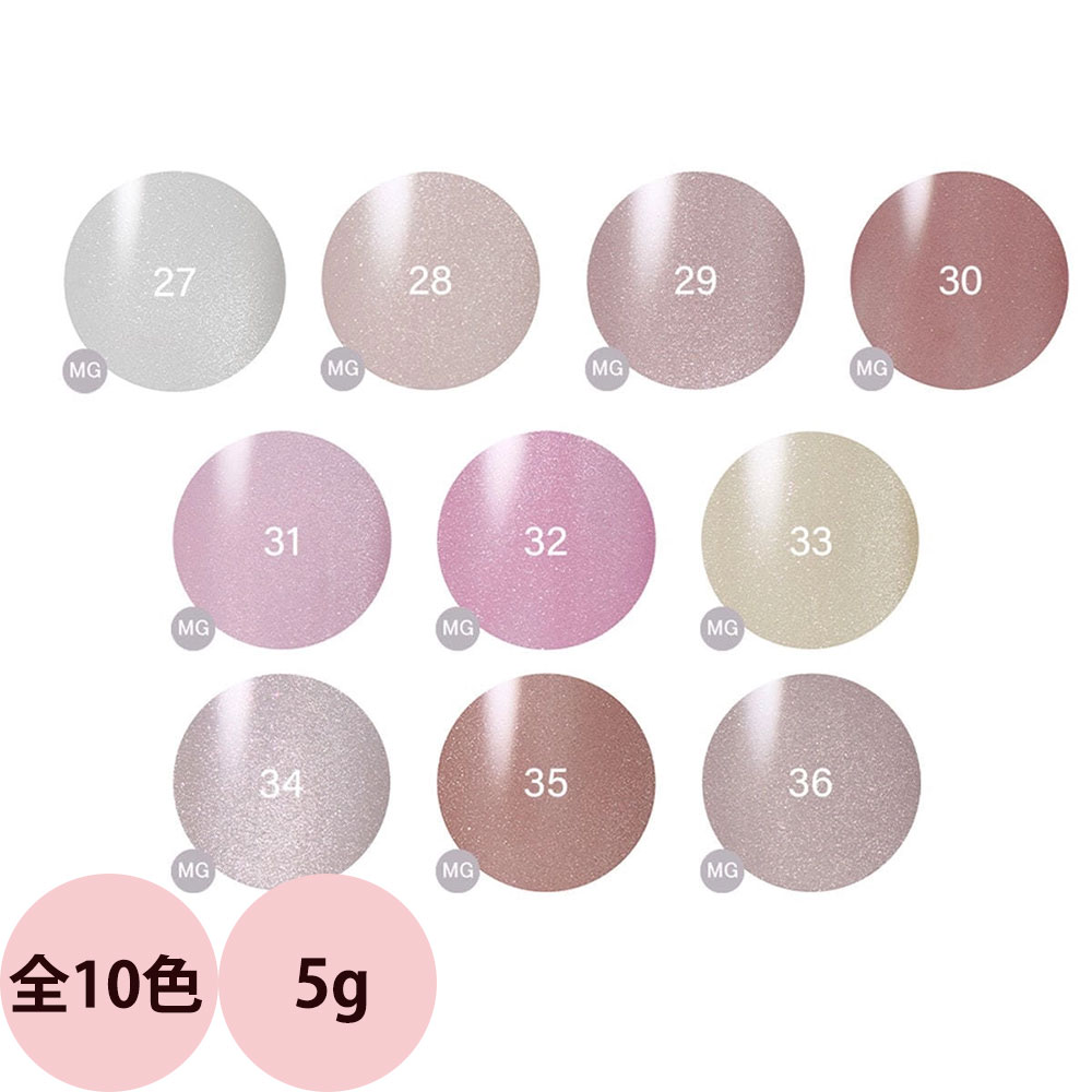 楽天市場】レイジェル マグネット カラージェル （全10色） 5g