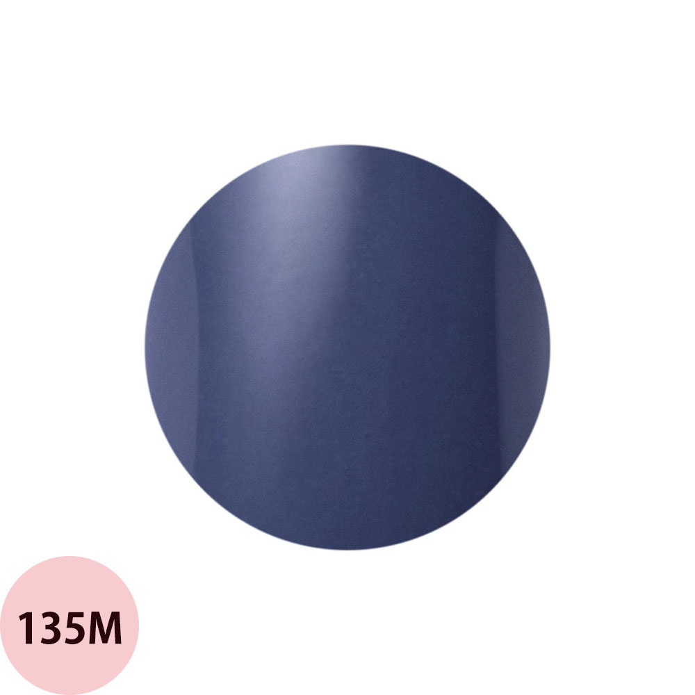 楽天市場】Raygel レイジェル カラージェル ヴィンテージカラー（全13