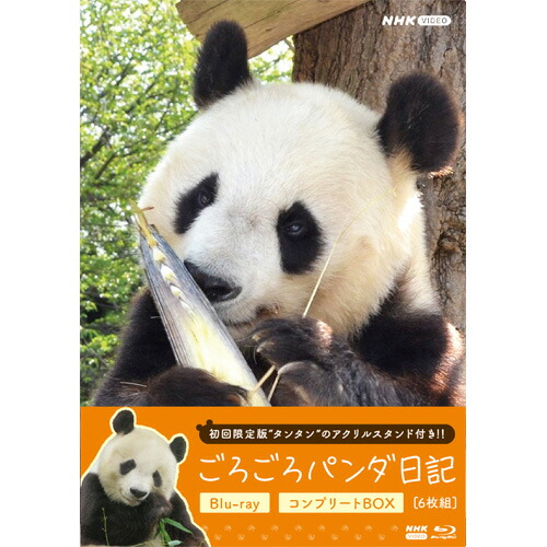 楽天市場】しずかちゃんとパパ ブルーレイBOX 全4枚 : NHKスクエア DVD