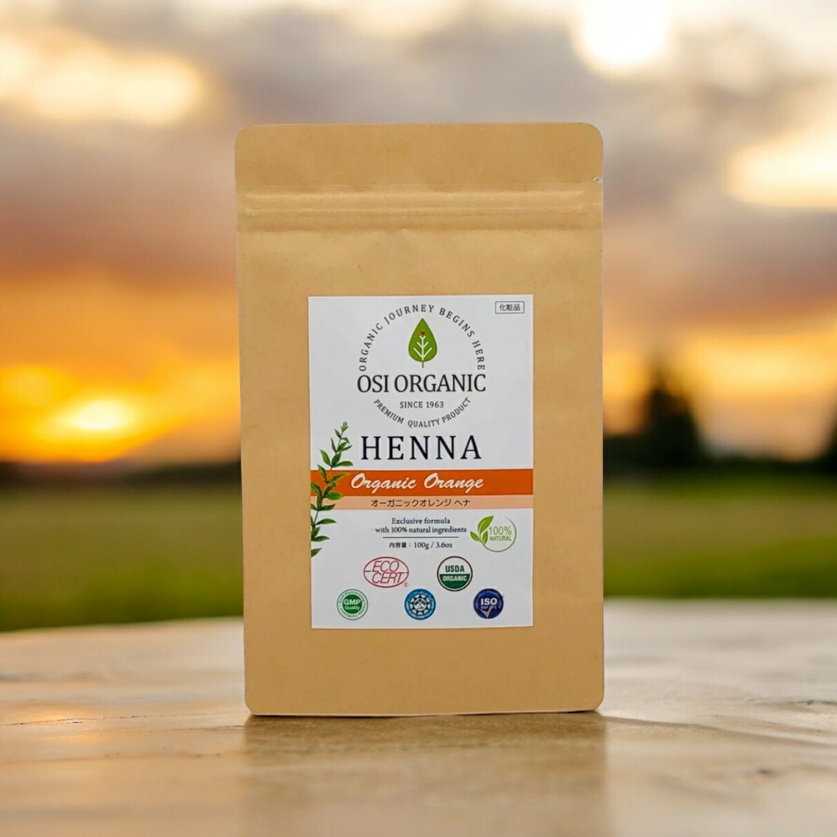 ヘナ 白髪染め オレンジ」の人気商品一覧 | 安い商品を通販サイトから