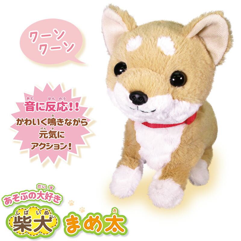 楽天市場】《ラッピング包装無料》喋る 柴犬 ペット ぬいぐるみ 犬