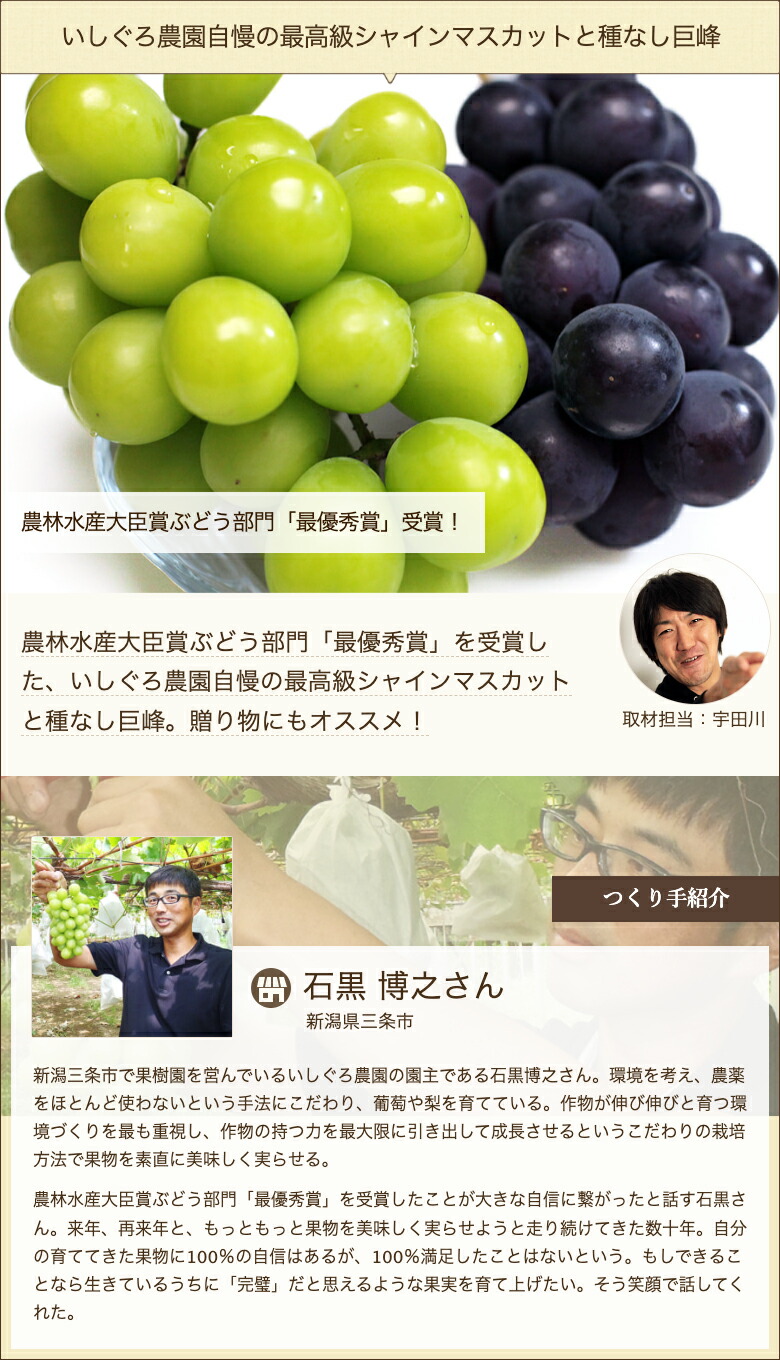 楽天市場】農林水産大臣賞 最優秀賞！新潟産 シャインマスカット 化粧