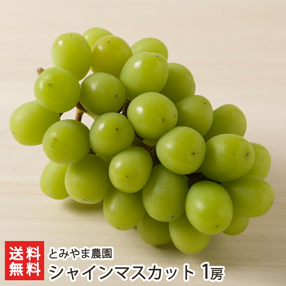 楽天市場】シャインマスカット 1房 とみやま農園 新潟県産 産地直送