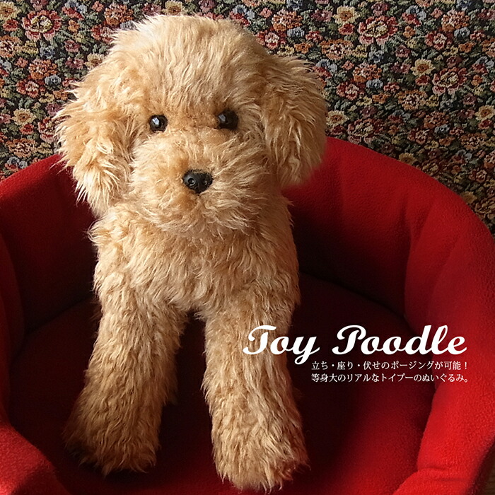 楽天市場】トイプードル ぬいぐるみ リアル 犬｜実物大サイズでポーズ