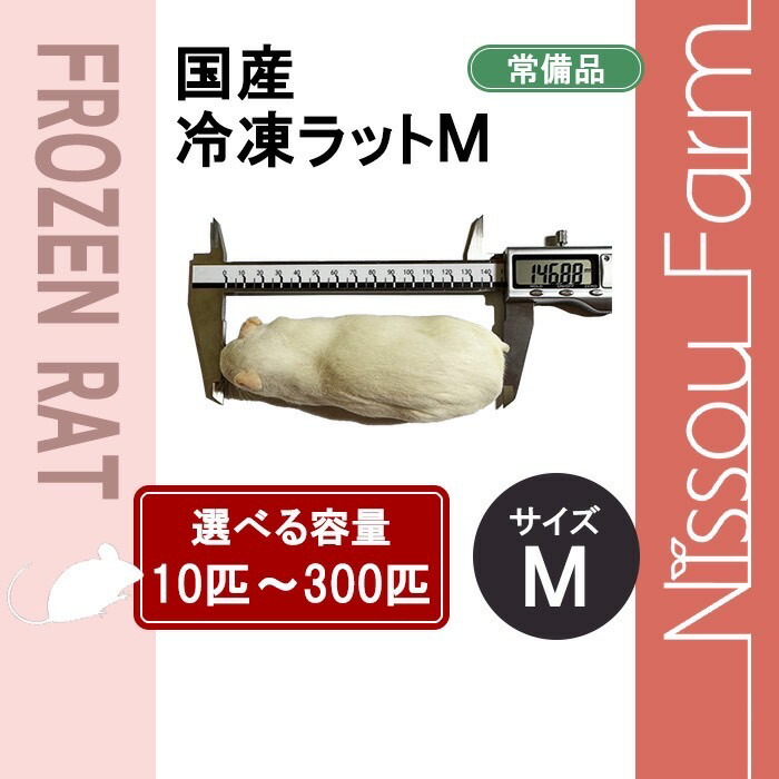 楽天市場】冷凍 ラットの通販