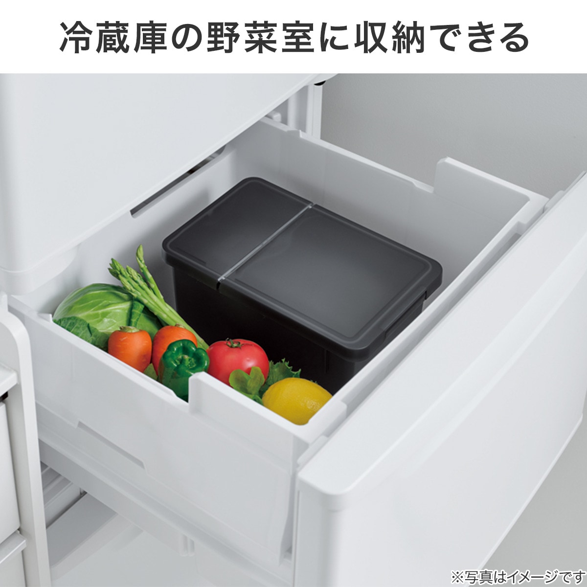 楽天市場】S密閉米びつ(ブラック)【玄関先迄納品】 ニトリ : ニトリ