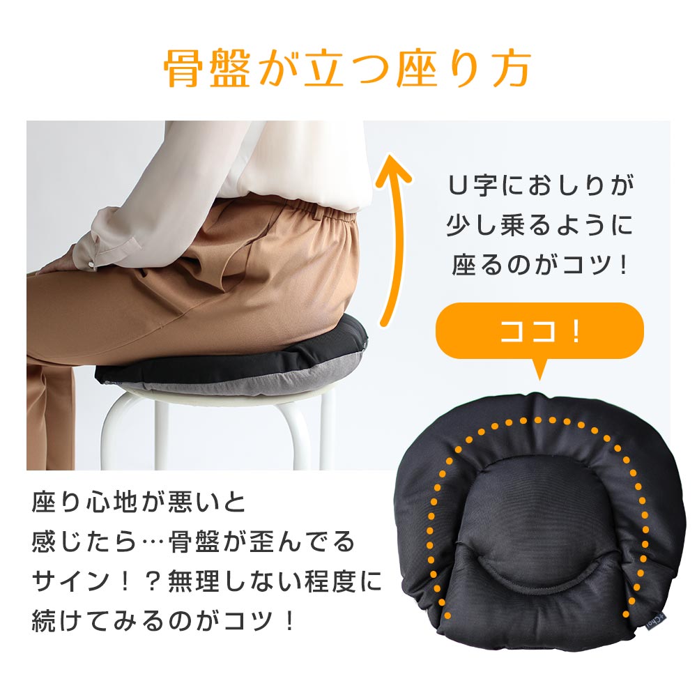 楽天市場】【在庫処分】骨盤 クッション 在宅勤務 オフィス用 プラス