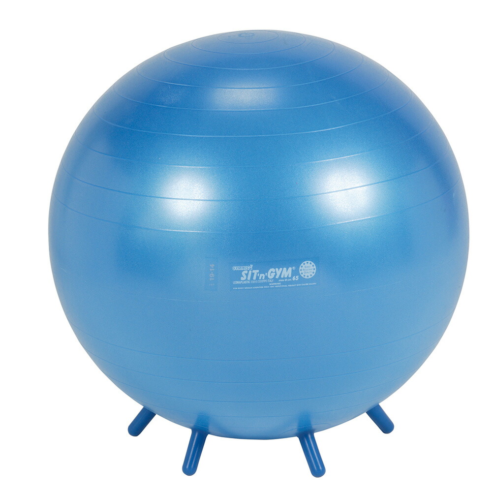 楽天市場】【Wアクションポンププレゼント】 ギムニク シッティング