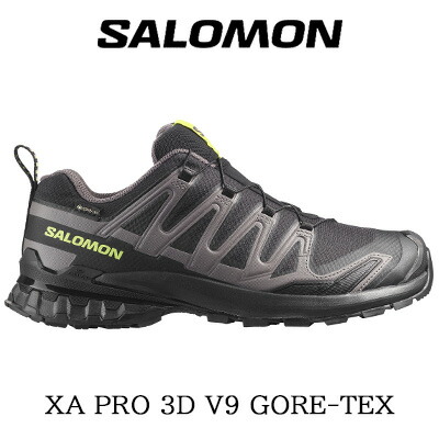 楽天市場】サロモンxa pro 3d gtx（靴）の通販