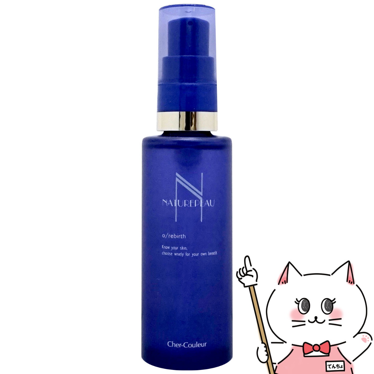 楽天市場】【最大400円OFFクーポン】【国内正規品】シェルクルール