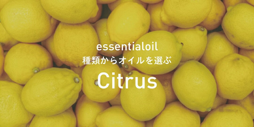 楽天市場 | アットアロマ 楽天市場店 - 種類から選ぶ（シトラス）